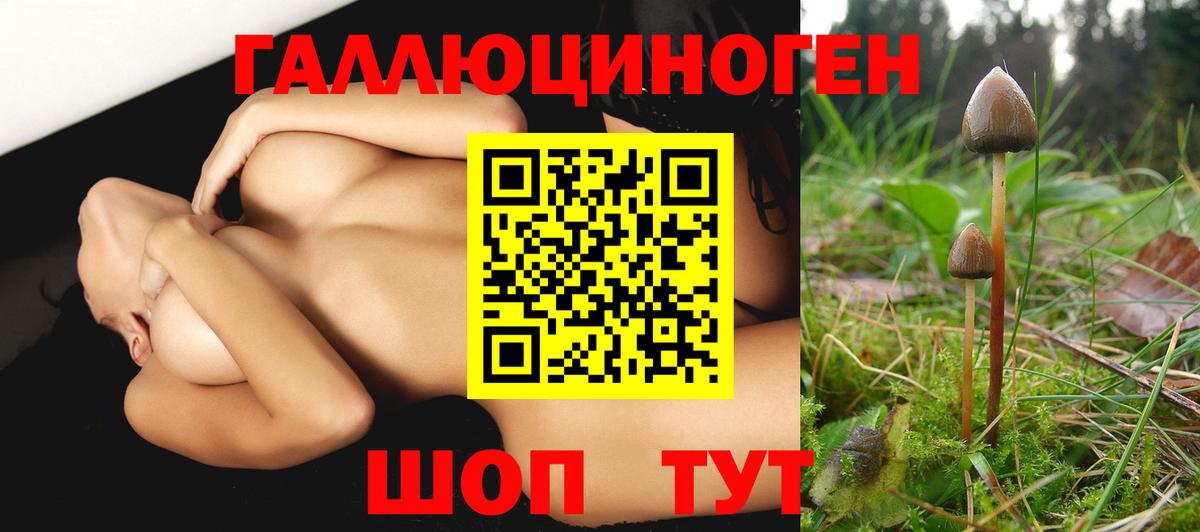 Галлюциногенные грибы GOLDEN TEACHER Мурино