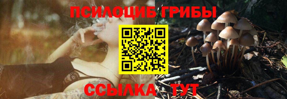 Псилоцибиновые грибы Cubensis  Вход с VPN  где найти наркотики  Мурино 